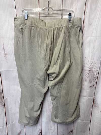 Pure Jill Women's Size XL Petite Beige Pants