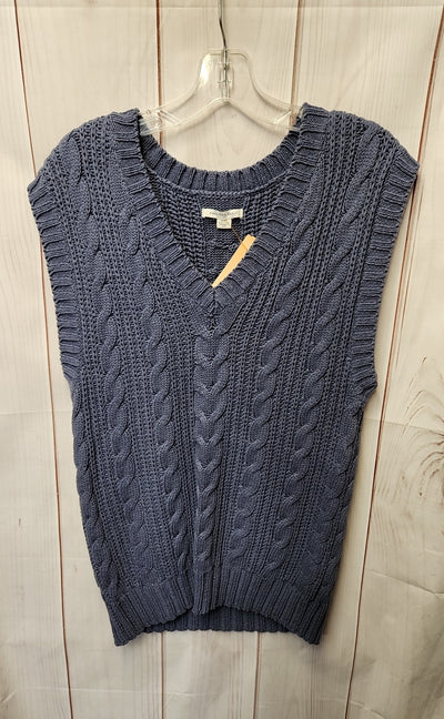 American Eagle Men's Size M Blue Sweater Vest