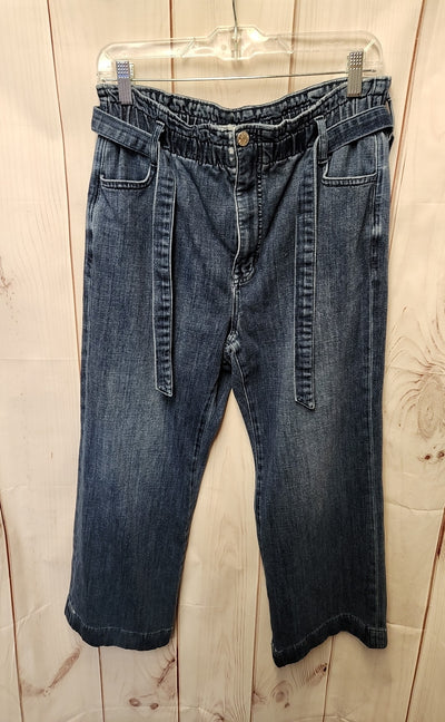 J Crew Women's Size 30 (9-10) Blue Jeans