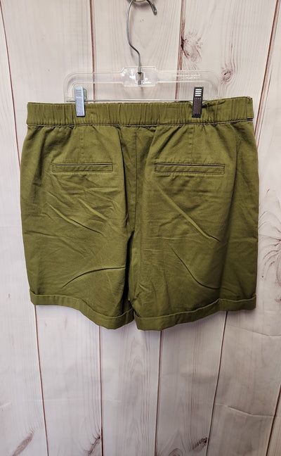 Loft Women's Size 10 Olive Green Shorts