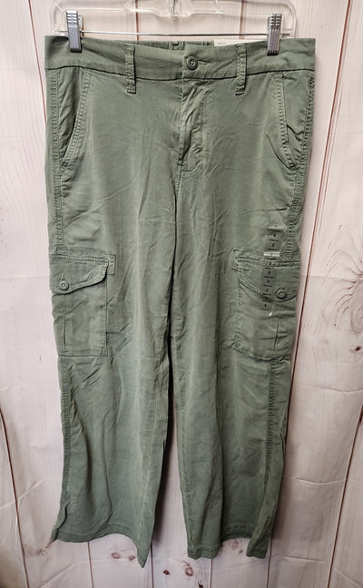 NWT American Eagle Women's Size 2 Green Pants Dreamy Drape Baggy Wide Leg