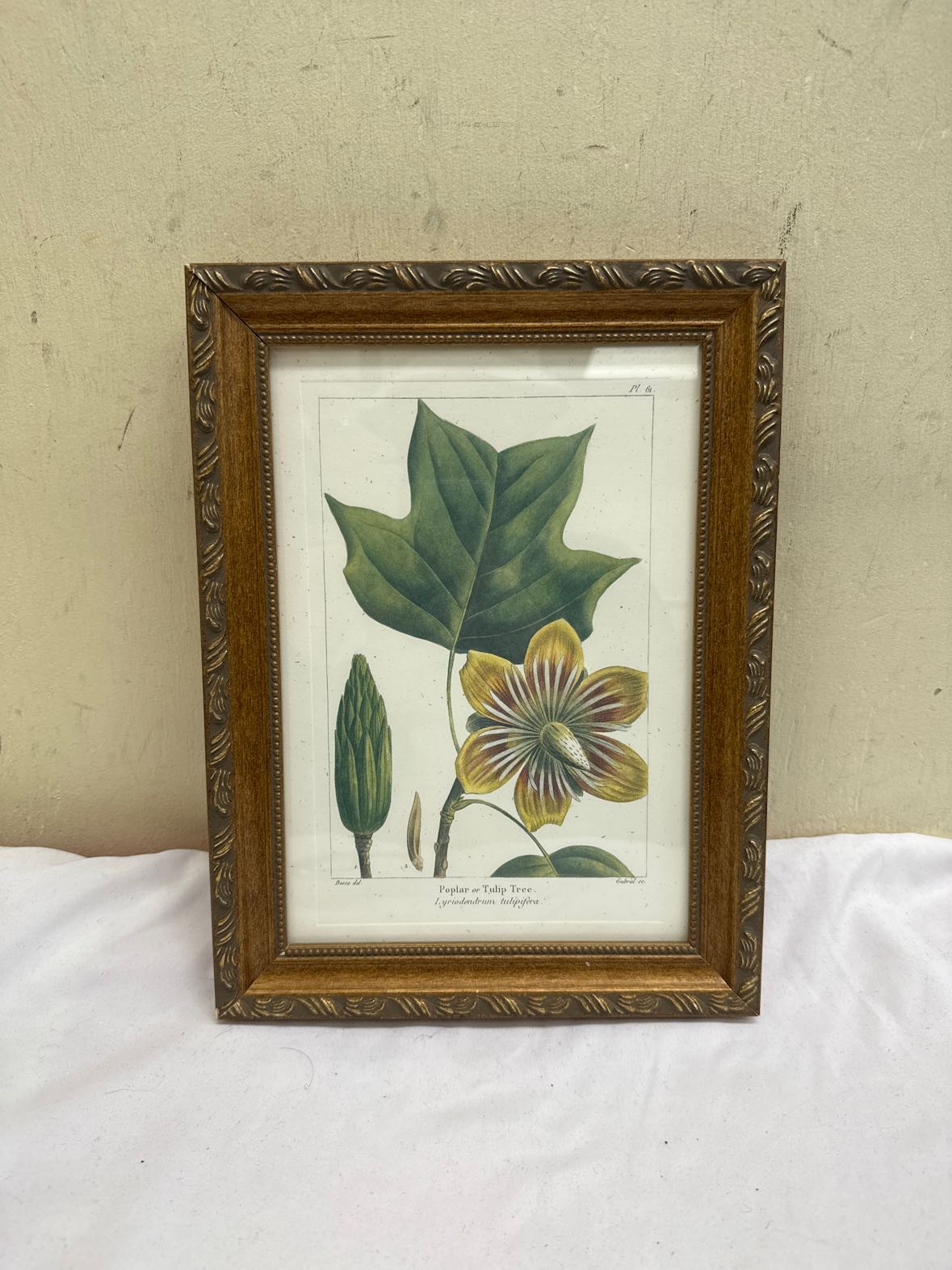 Floral Framed Art