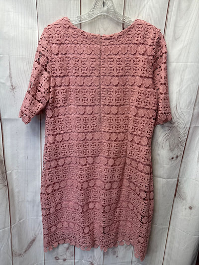 Sandra Darren Women's Size 12 Pink Lace Floral Dress