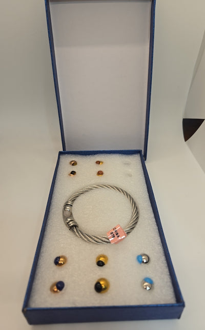 NIB Stainless Steel Bracelet w/ Interchangeable Charms