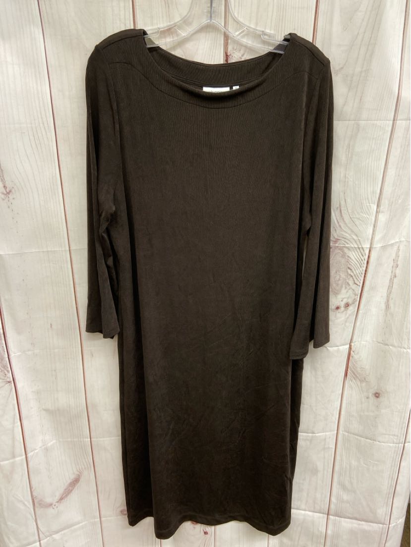 NWT Chico's Women's Size 3 = US XL Brown Dress