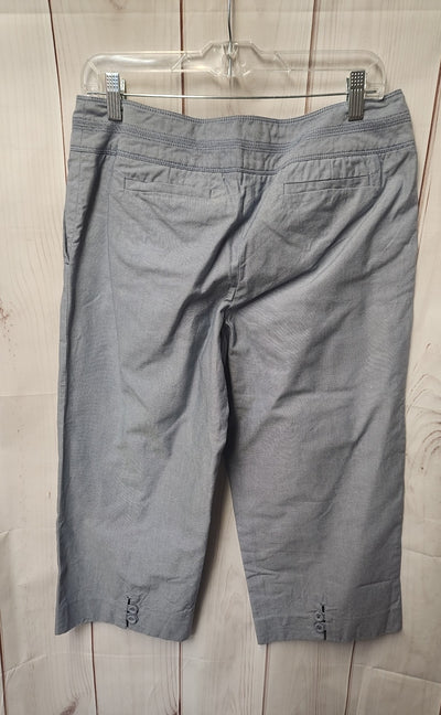 Ann Taylor Women's Size 10 Blue Capris