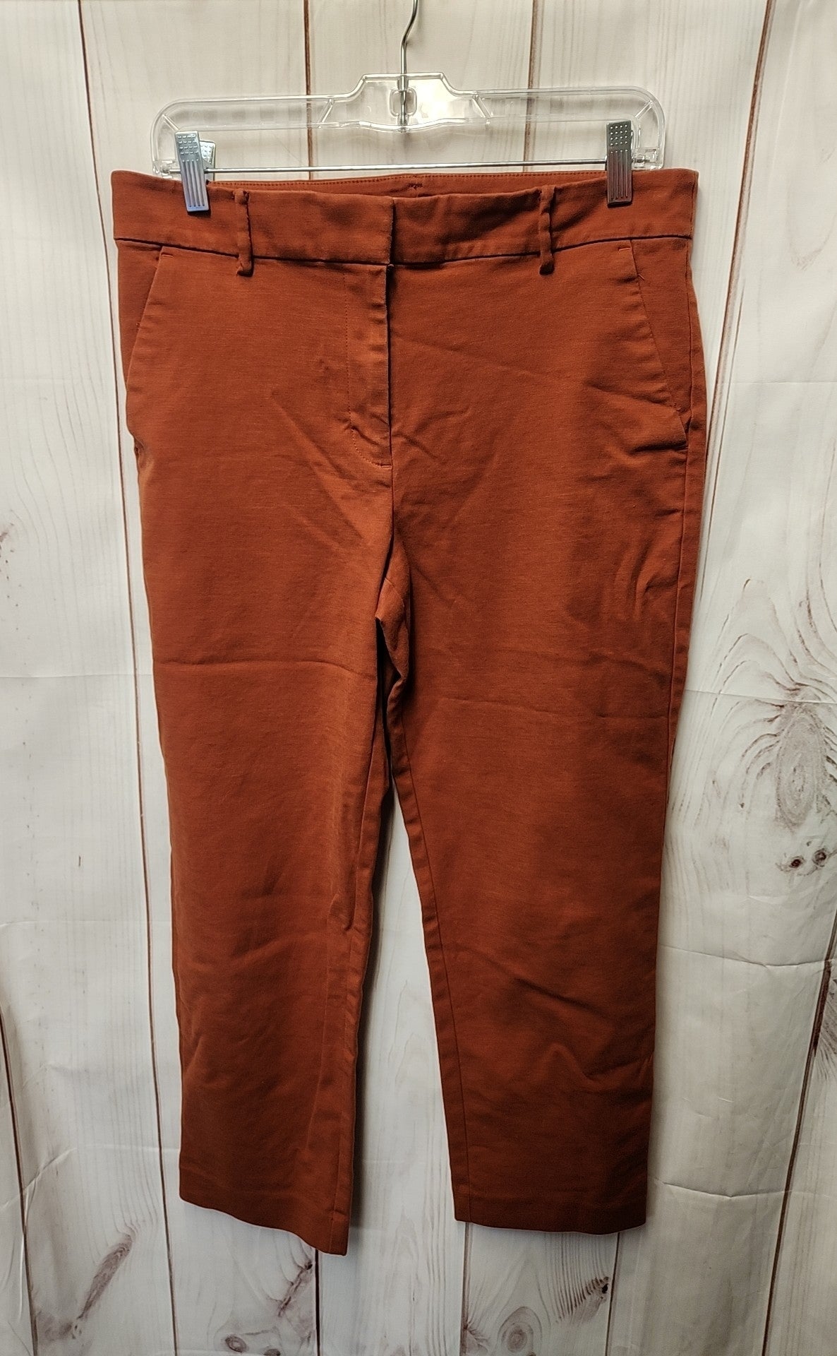 Loft Women's Size 10 Brown Pants The Perfect Straight