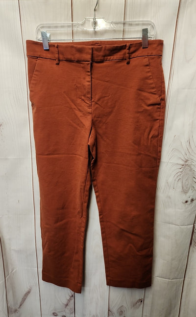 Loft Women's Size 10 Brown Pants The Perfect Straight