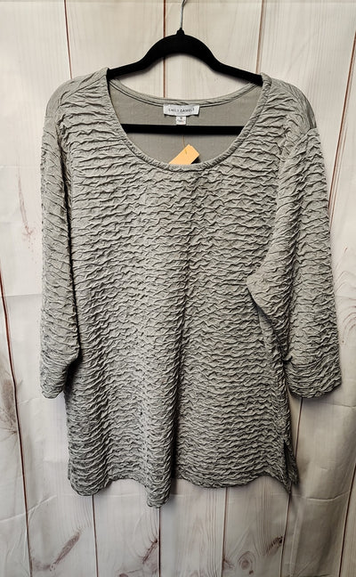 Emily Daniels Women's Size 1X Gray 3/4 Sleeve Top