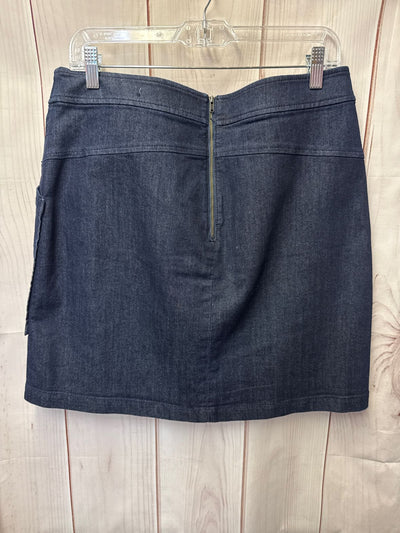 Loft Women's Size 12 Blue Skirt