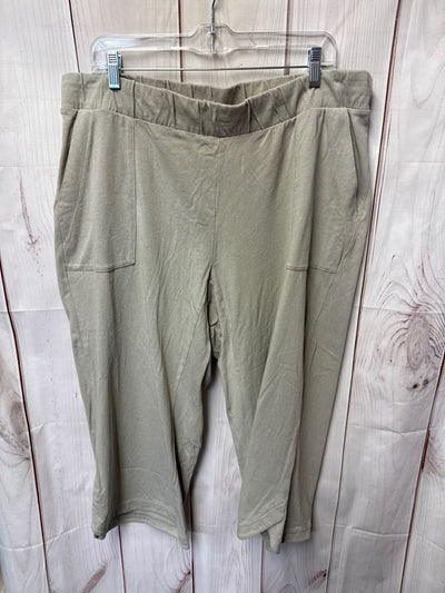Pure Jill Women's Size XL Petite Beige Pants