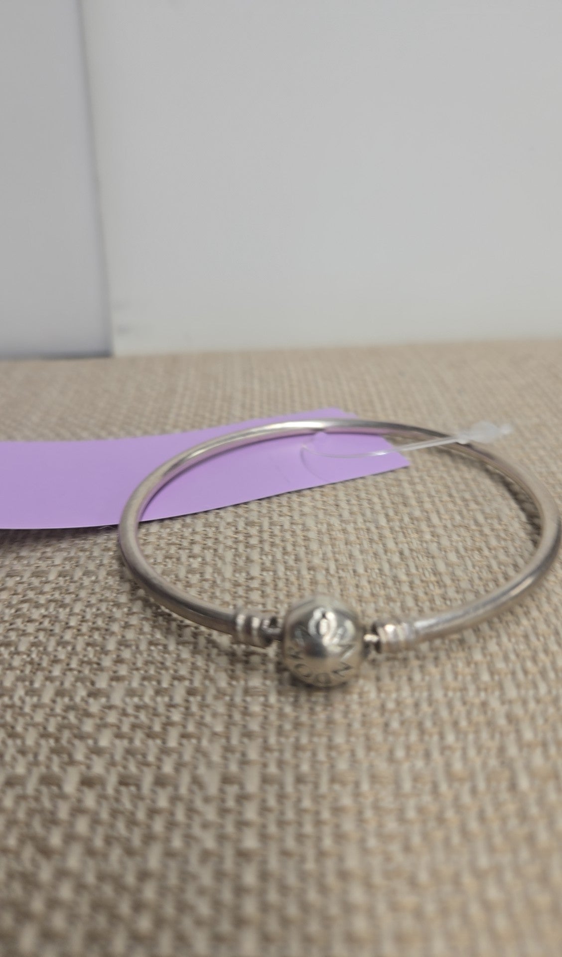 Pandora ALE 925 Silver Charm Bracelet