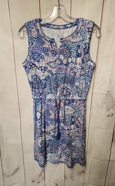 Talbots Women's Size S Blue & Pink Dress