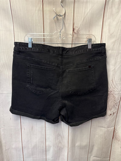 Jennifer Lopez Women's Size 16 Black Shorts Bopyfriend Short