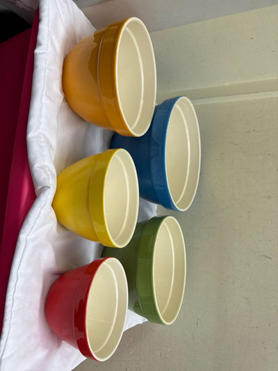 5PCS Crate & Barrel Rainbow Bowl Set