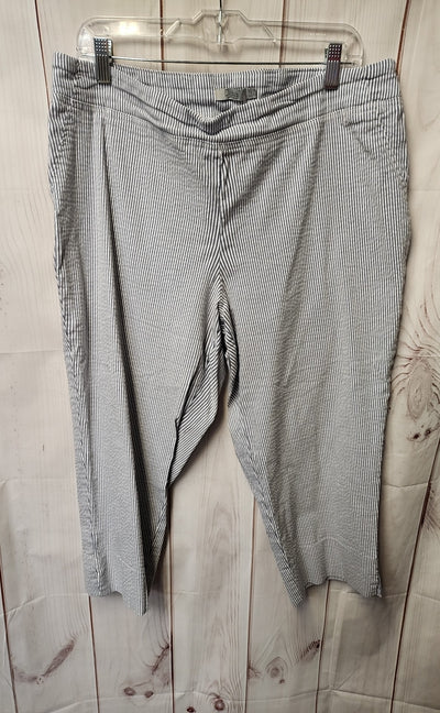 Dalia Women's Size 18 Blue & White Stripe Pants