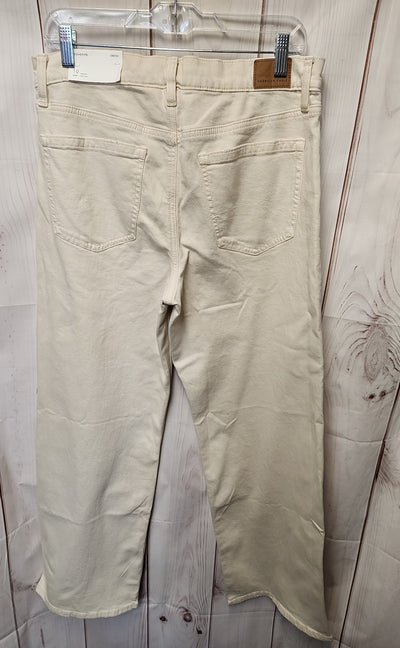 NWT American Eagle Women's Size 30 (9-10) Beige Jeans Stovepipe