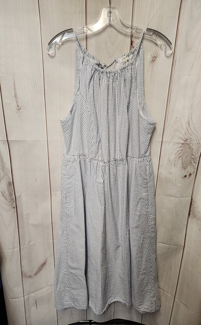 J Crew Women's Size 14 White & Blue Dress