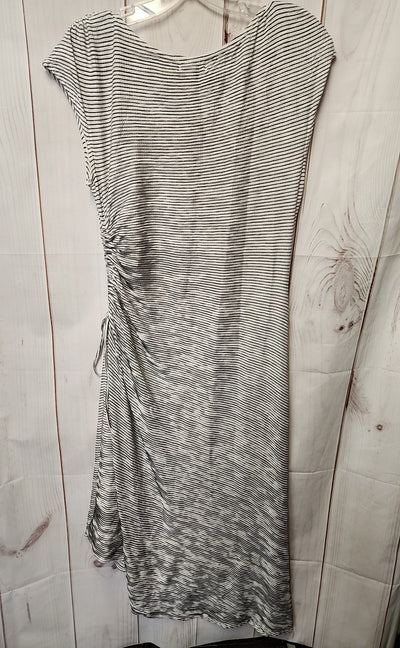 NWT Max Studio Women's Size M White & Black Dress