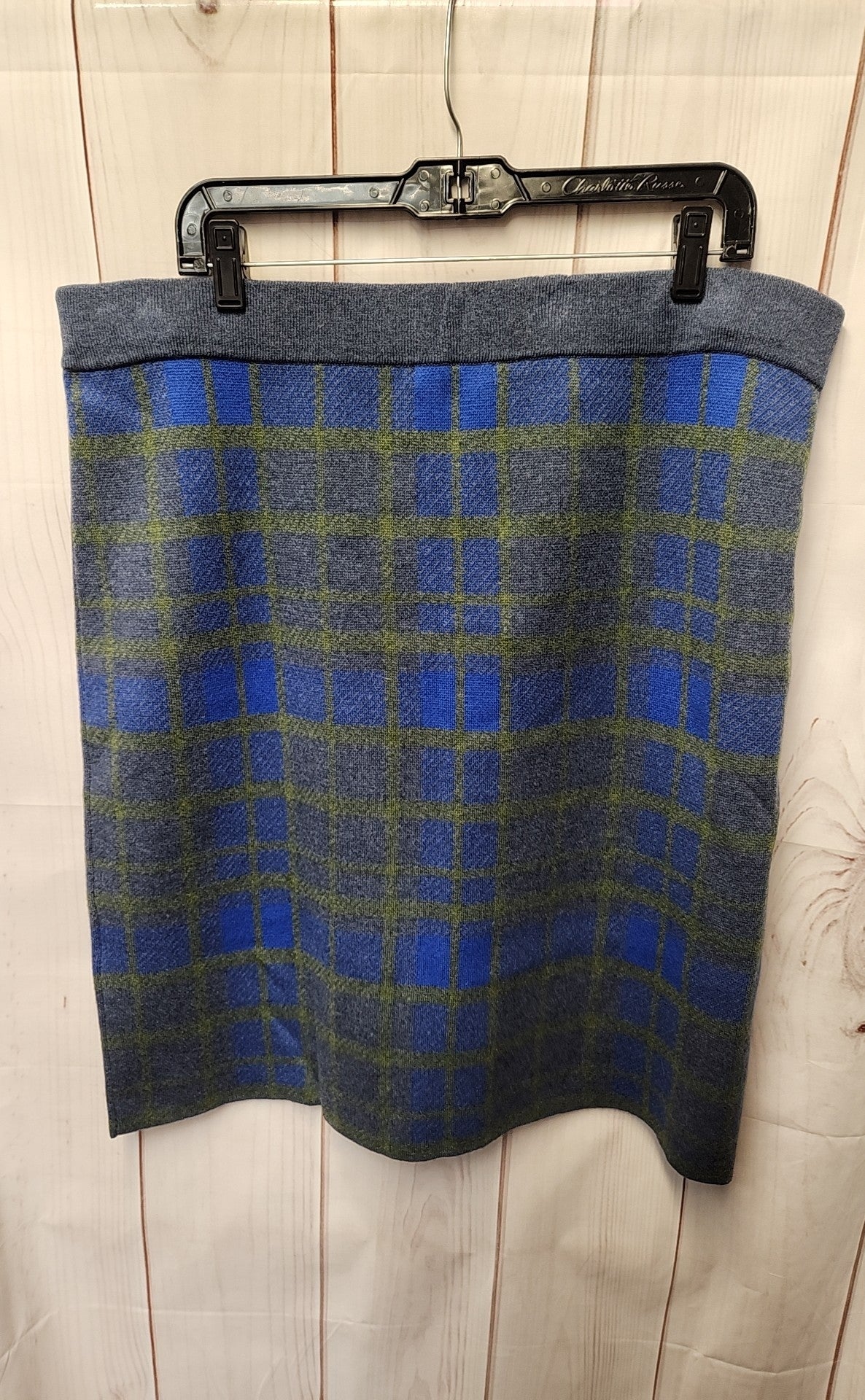 NWT Women's Size XL Blue Skirt