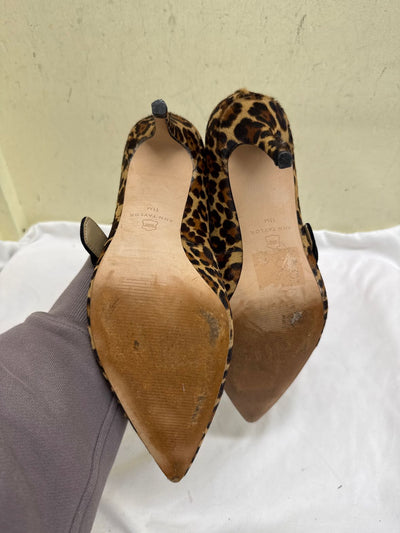 Ann Taylor Women's Size 11 leopard print Pumps Shoes