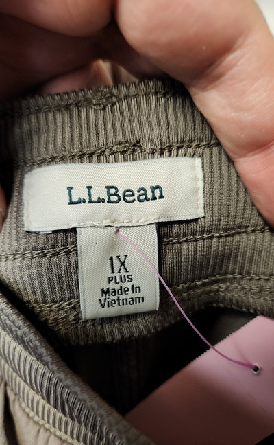 LL Bean Women's Size 1X Brown Shorts