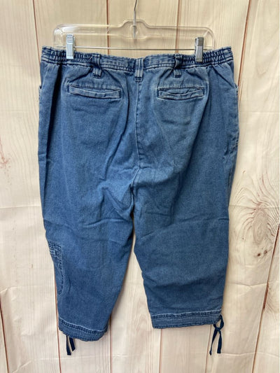 Karen Scott Women's Size 16 Petite Blue Capris