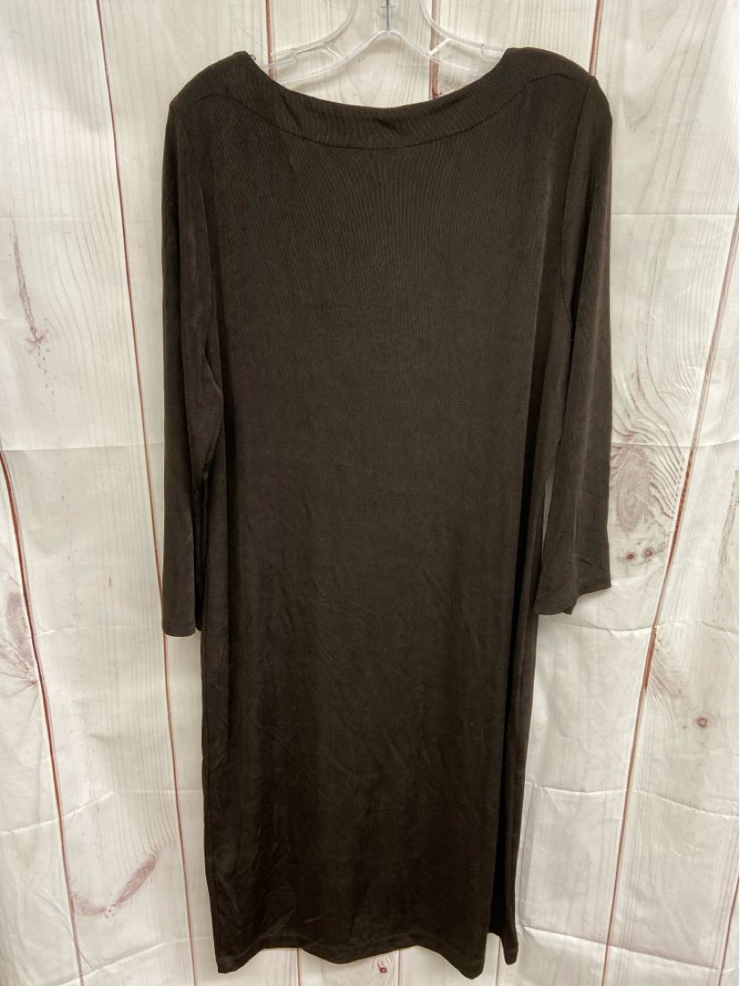 NWT Chico's Women's Size 3 = US XL Brown Dress