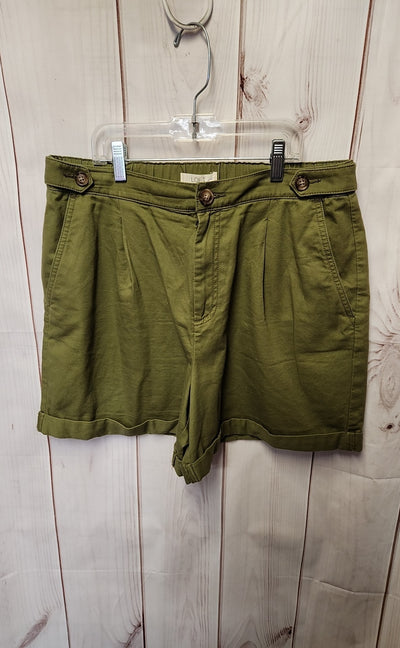 Loft Women's Size 10 Olive Green Shorts