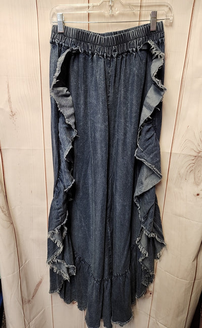 Blue Velvet Women's Size S Blue Pants