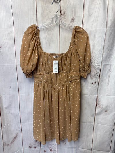 NWT Abercrombie & Fitch Women's Size M Brown Dress