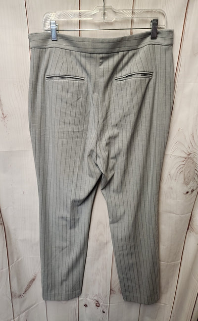 Ann Taylor Women's Size 12 Gray Pants