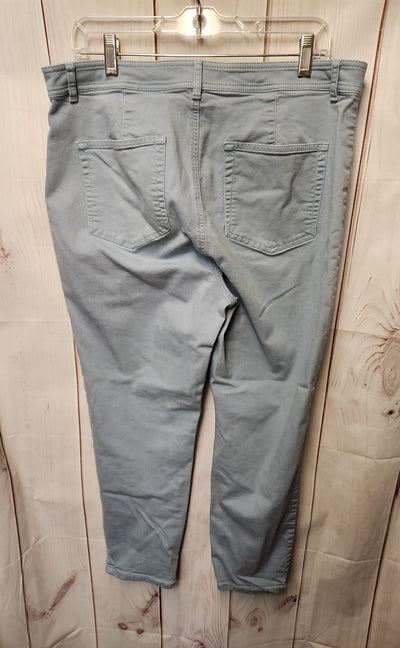 Loft Women's Size 32 (13-14) Light Blue Jeans Curvy
