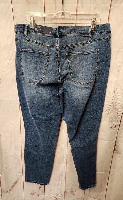 NWT Talbots Women's Size 33 (15-16) Blue Jeans Slim Ankle