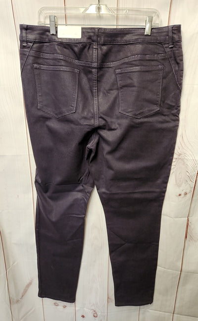 Chico's Women's Size 3 = US 16 Purple Pants The Platinum Jegging