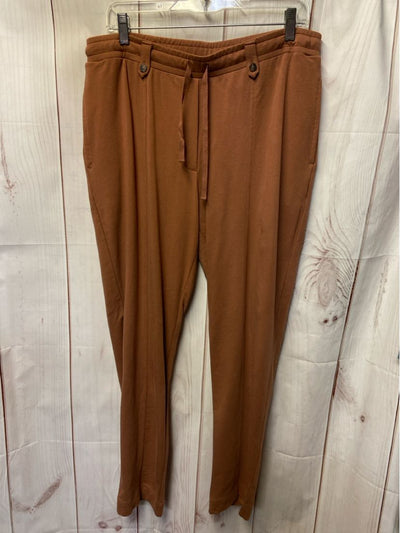 J Jill Women's Size M Brown Pants