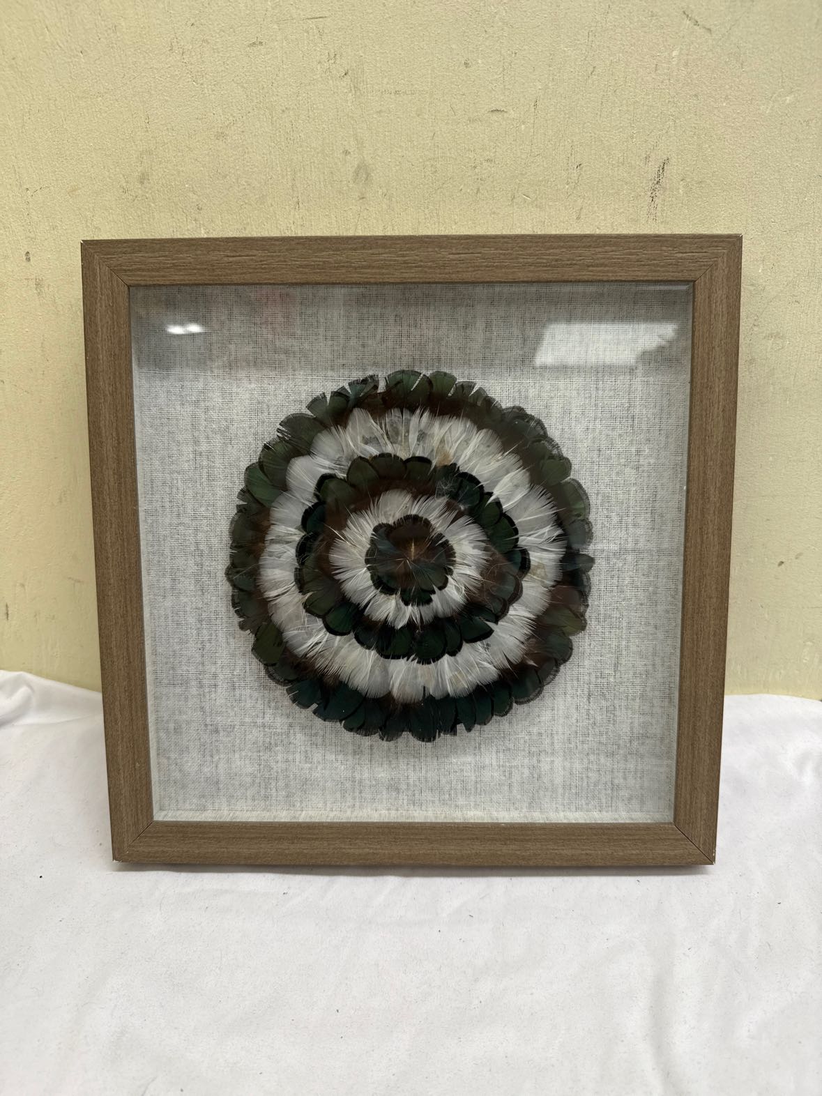 Feathers Framed Art
