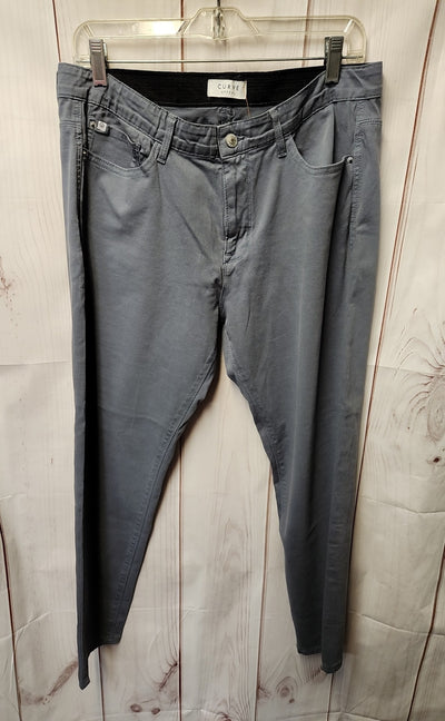 Curve Appeal Women's Size 32 (13-14) Gray Pants