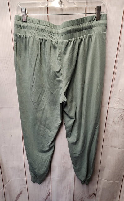 AnyBody Women's Size M Petite Green Pants