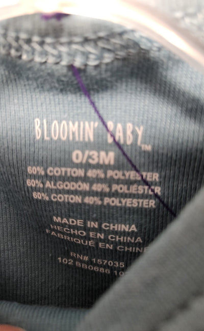 NWT Bloomin Baby Boy's Size 0-3 Months Blue 2 Pcs Pajamas