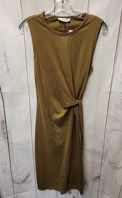 Mng Women's Size 4 Brown Dress