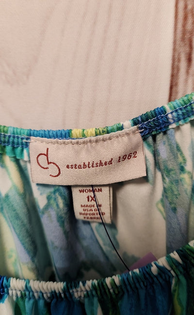 Dressbarn Women's Size 1X Blue & Green Dress