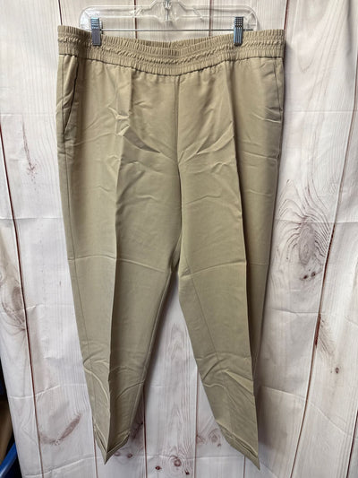 Chico's Women's Size 3 = US 16 Brown Pants