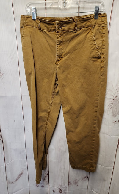 Loft Women's Size 8 Tan Pants The Perfect Straight