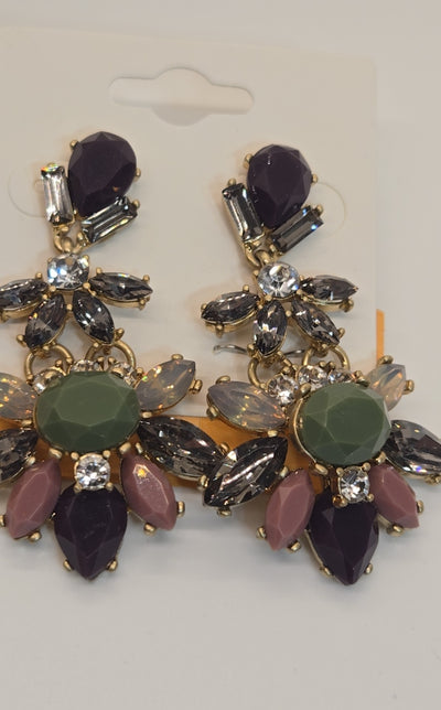 E Land Multi-Color Rhinestone Earrings