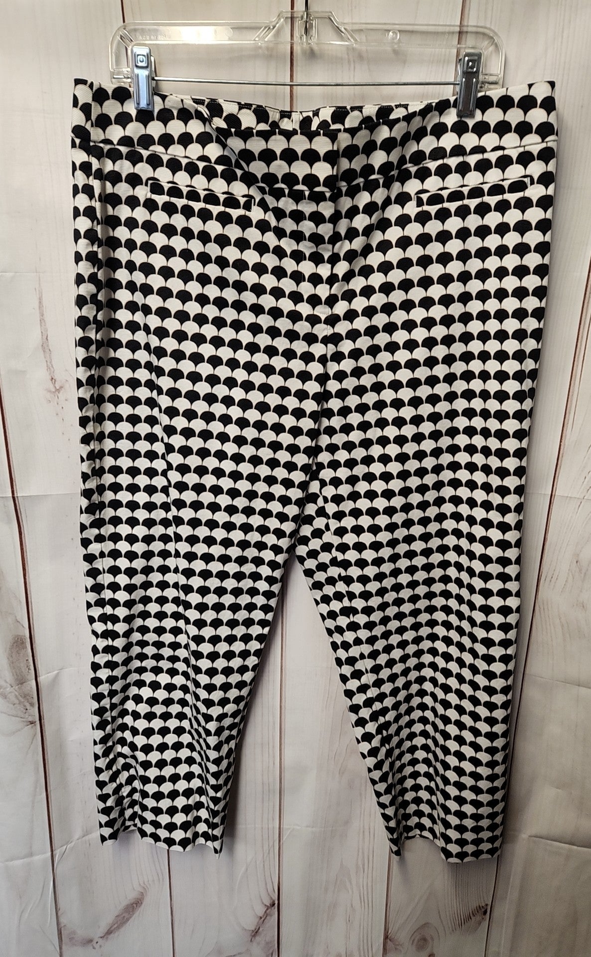 Ann Taylor Women's Size 14 White & Black Pants Kate Fit