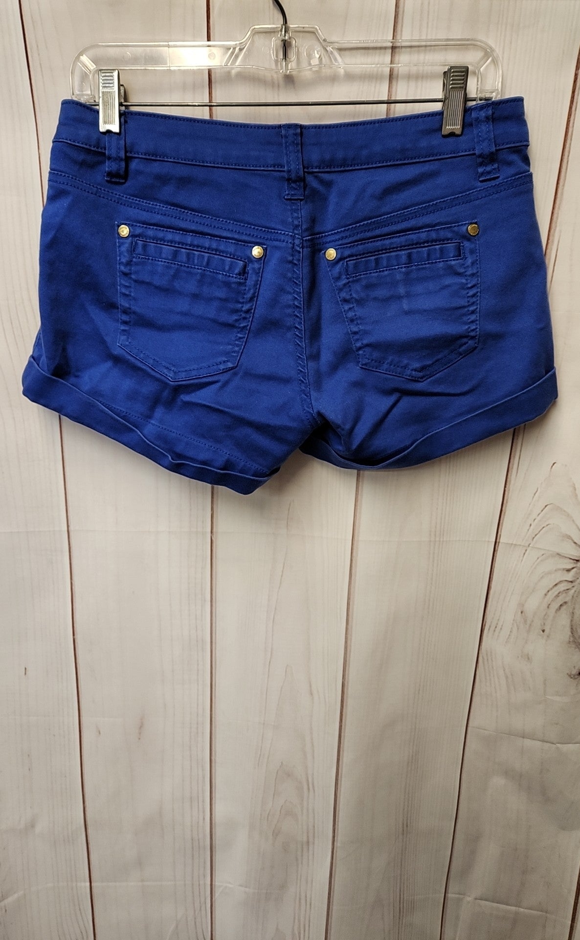 Arden B Women's Size 6 Blue Shorts