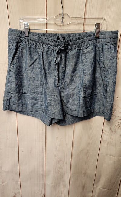 J Crew Women's Size L Blue Shorts
