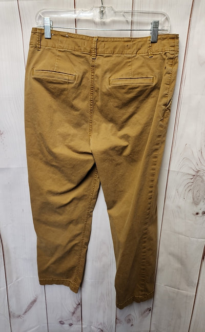 Loft Women's Size 8 Tan Pants The Perfect Straight