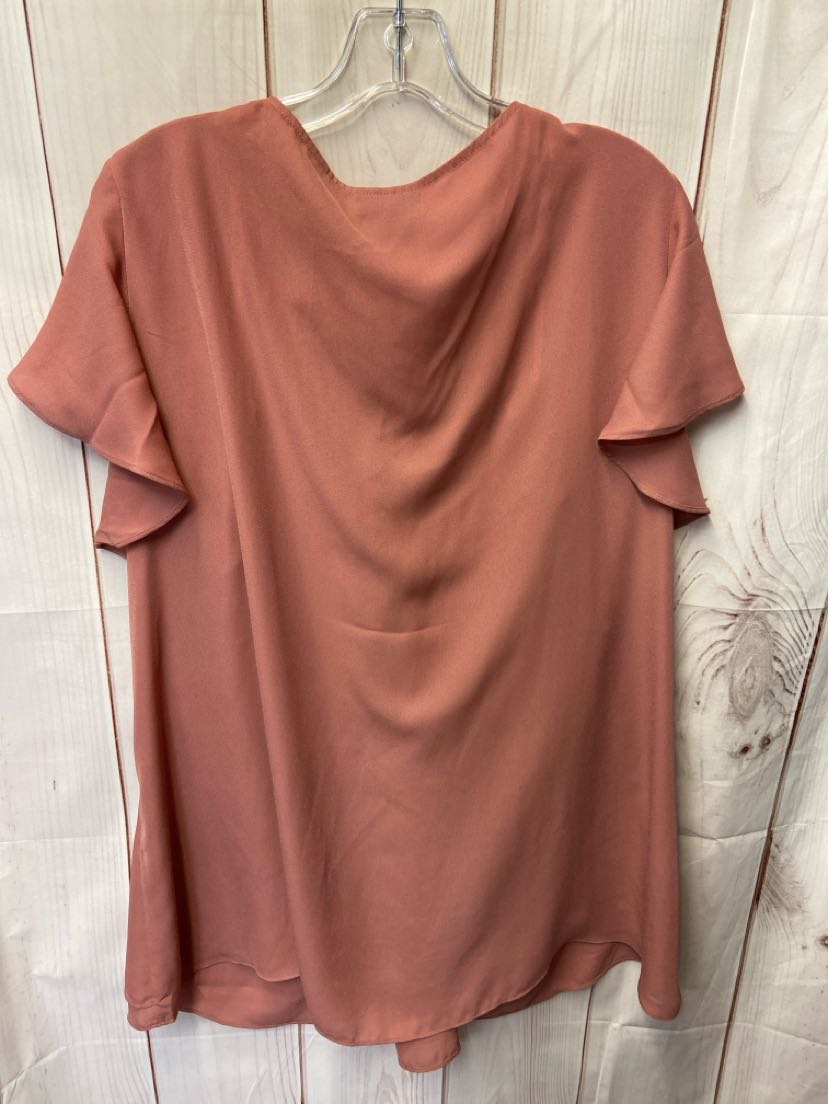 City Chic Women's Size XL Pink Short Sleeve Top